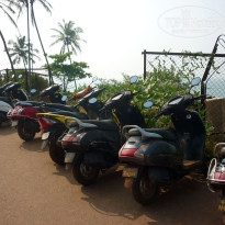 фото из отзыва ID 1322996