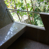 фото из отзыва ID 1323006