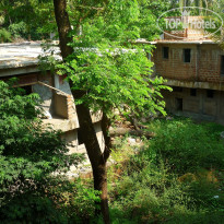 фото из отзыва ID 1323006