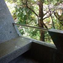 фото из отзыва ID 1323006