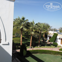 фото из отзыва ID 1323017