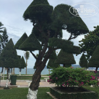 фото из отзыва ID 1323063