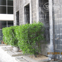 фото из отзыва ID 1323149