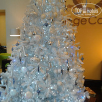 фото из отзыва ID 1323149