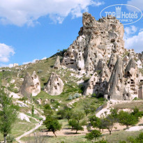 фото из отзыва ID 1323188