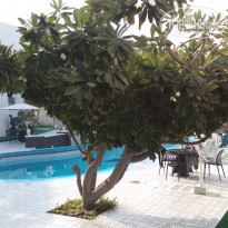 фото из отзыва ID 1322873