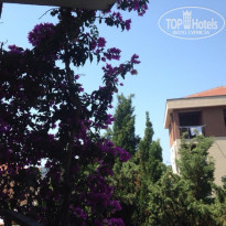 фото из отзыва ID 1323247