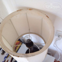 фото из отзыва ID 1323247