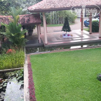 фото из отзыва ID 1323356