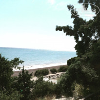 фото из отзыва ID 1323370