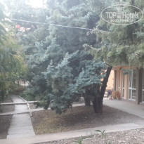 фото из отзыва ID 1323370