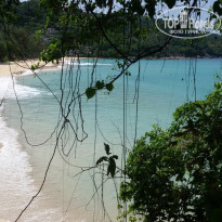 фото из отзыва ID 1323454