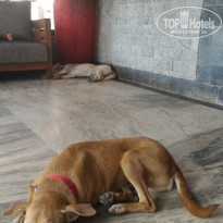 фото из отзыва ID 1323556