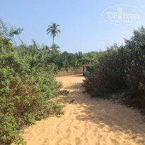 фото из отзыва ID 1323556