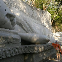 фото из отзыва ID 1323600