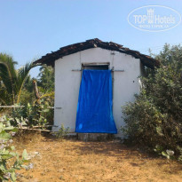 фото из отзыва ID 1323556