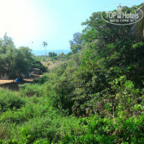 фото из отзыва ID 1323556