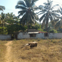 фото из отзыва ID 1323556