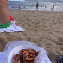 фото из отзыва ID 1323631