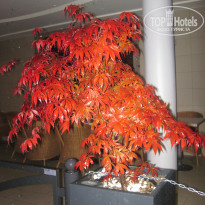 фото из отзыва ID 1323656