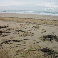 фото из отзыва ID 1323656