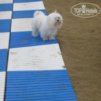 фото из отзыва ID 1323656