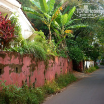 фото из отзыва ID 1323687