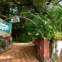 фото из отзыва ID 1323687