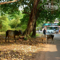 фото из отзыва ID 1323687