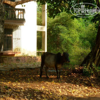 фото из отзыва ID 1323687