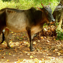 фото из отзыва ID 1323687