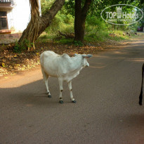 фото из отзыва ID 1323687