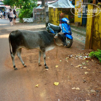 фото из отзыва ID 1323687