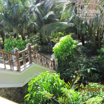 фото из отзыва ID 1323739