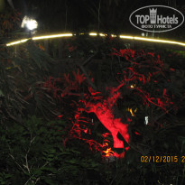 фото из отзыва ID 1323739