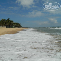 фото из отзыва ID 1323809