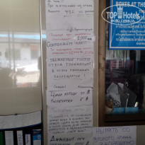 фото из отзыва ID 1323816