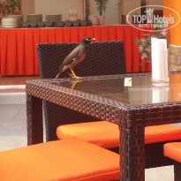 фото из отзыва ID 1323493