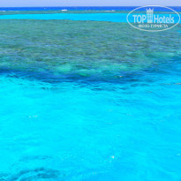 фото из отзыва ID 1323892