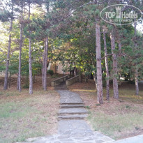 фото из отзыва ID 1323897