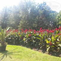 фото из отзыва ID 1323897