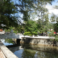 фото из отзыва ID 1323824