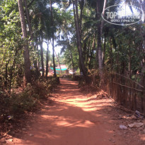 фото из отзыва ID 1323987