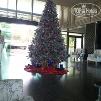 фото из отзыва ID 1324031