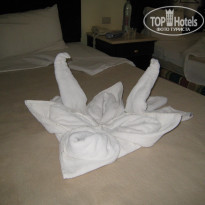 фото из отзыва ID 1324140