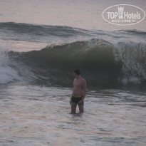 фото из отзыва ID 1324169