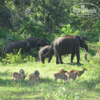 фото из отзыва ID 1324169