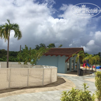 фото из отзыва ID 1324185