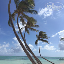 фото из отзыва ID 1324185