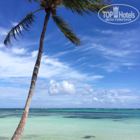 фото из отзыва ID 1324185